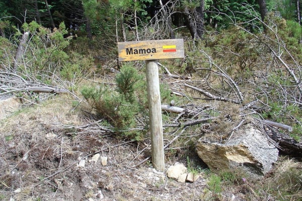 Foto 58 da atividade Galeria de Fotos