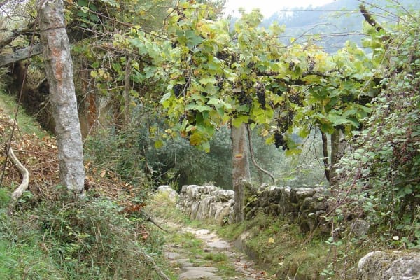 Foto 46 da atividade Galeria de Fotos