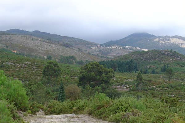 Foto 43 da atividade Galeria de Fotos