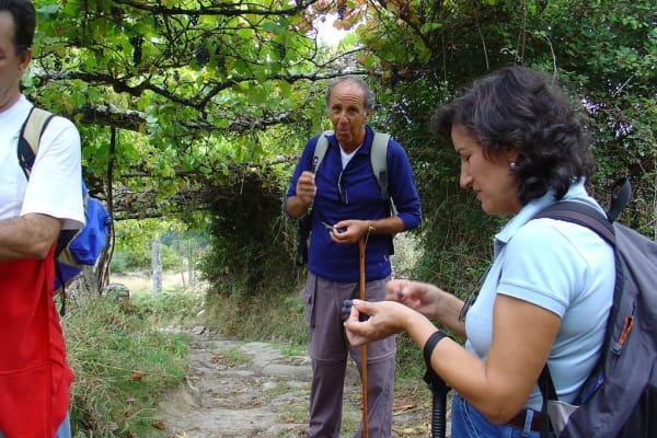 Foto 26 da atividade Galeria de Fotos