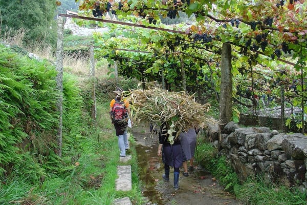 Foto 27 da atividade Galeria de Fotos