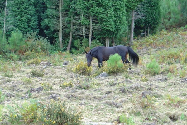 Foto 25 da atividade Galeria de Fotos