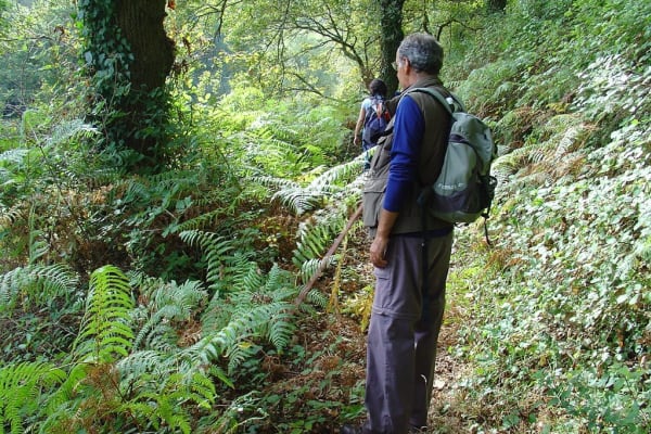 Foto 10 da atividade Galeria de Fotos