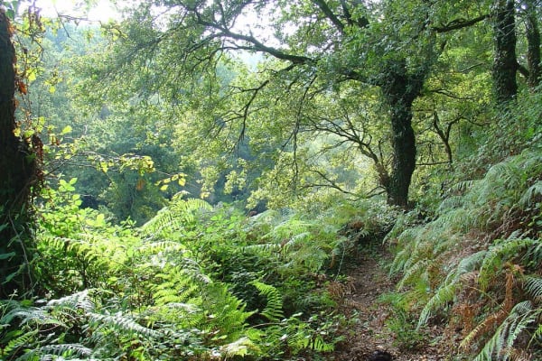 Foto 3 da atividade Galeria de Fotos