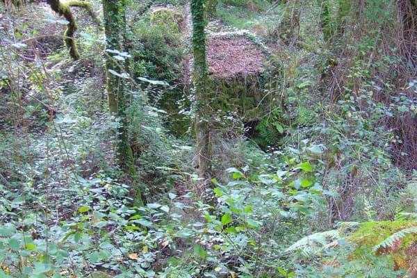 Foto 2 da atividade Galeria de Fotos