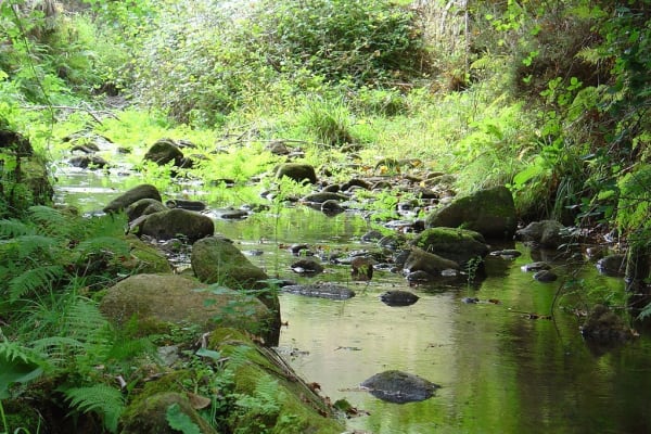 Foto 1 da atividade Galeria de Fotos