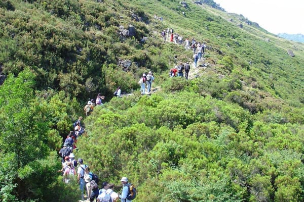 Foto 62 da atividade Galeria de Fotos