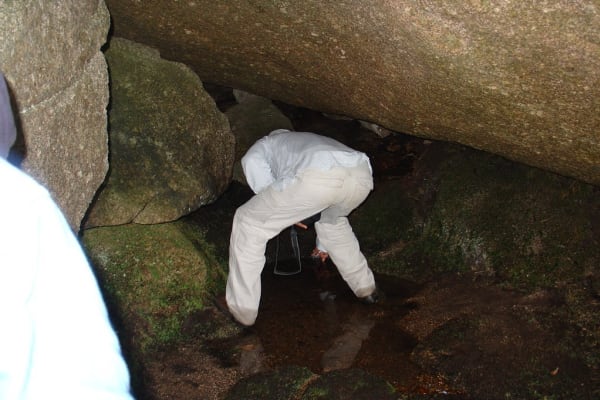 Foto 43 da atividade Galeria de Fotos