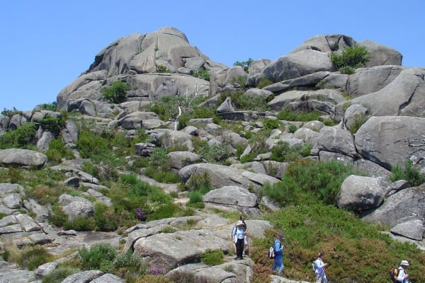 Foto 40 da atividade Galeria de Fotos