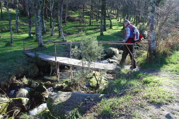 Foto 86 da atividade Galeria de Fotos