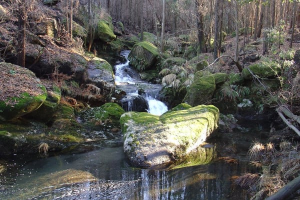 Foto 76 da atividade Galeria de Fotos