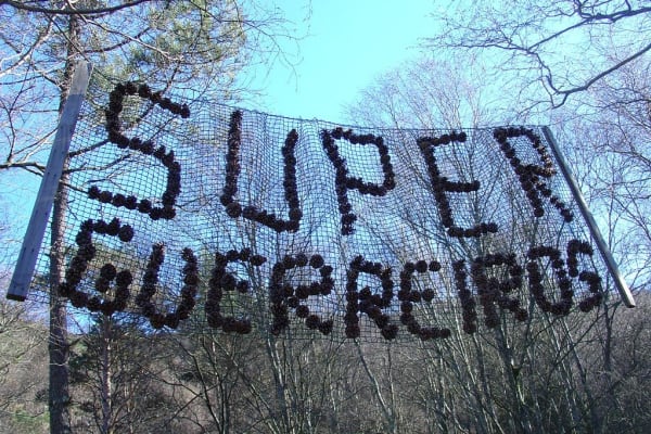 Foto 72 da atividade Galeria de Fotos