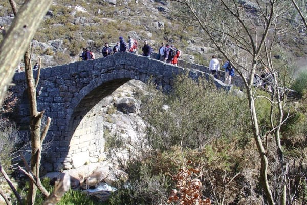 Foto 112 da atividade Galeria de Fotos