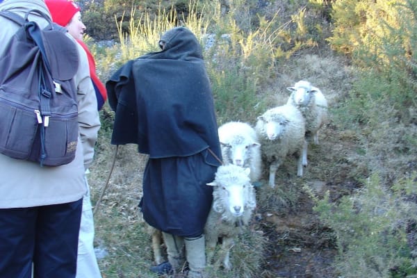 Foto 51 da atividade Galeria de Fotos