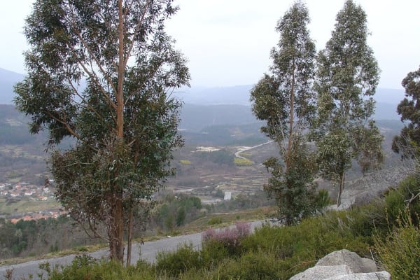 Foto 75 da atividade Galeria de Fotos