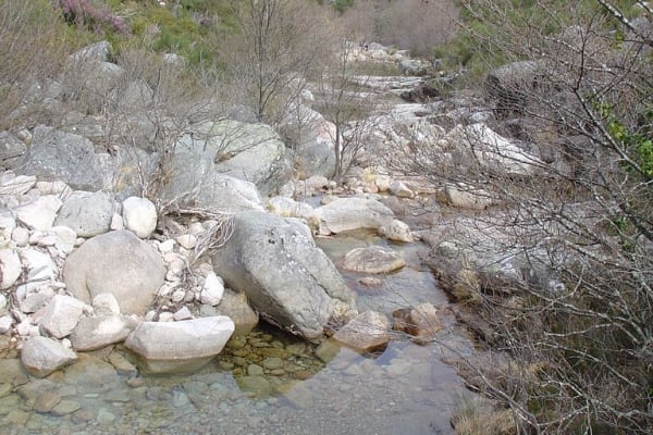 Foto 66 da atividade Galeria de Fotos