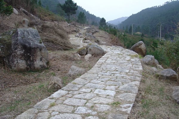 Foto 47 da atividade Galeria de Fotos