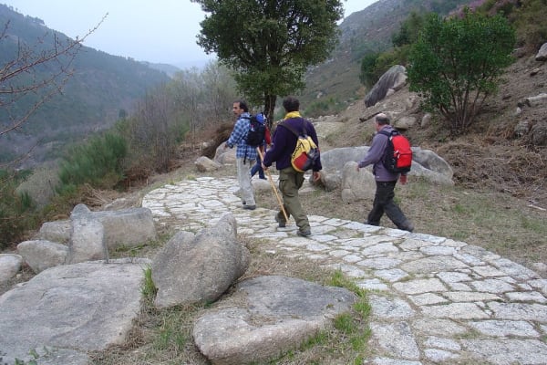 Foto 40 da atividade Galeria de Fotos