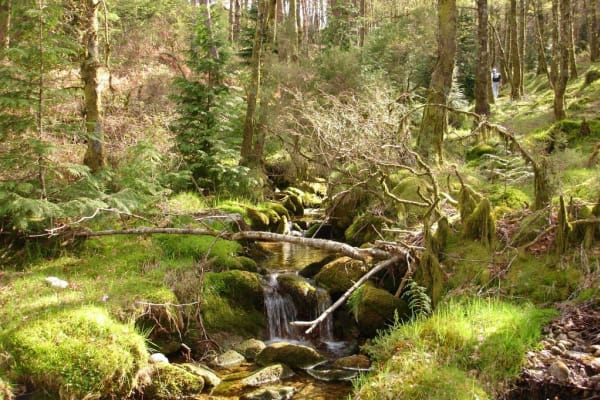 Foto 83 da atividade Galeria de Fotos