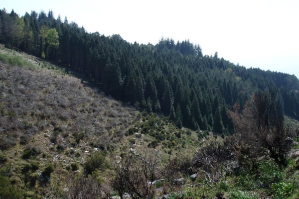 Foto 71 da atividade Galeria de Fotos