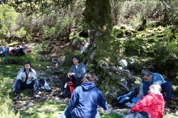 Foto 33 da atividade Galeria de Fotos