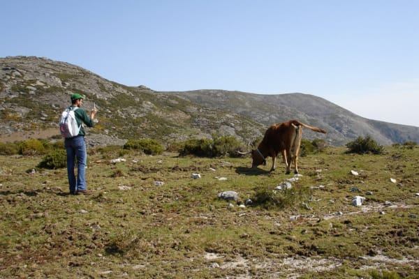 Foto 8 da atividade Galeria de Fotos