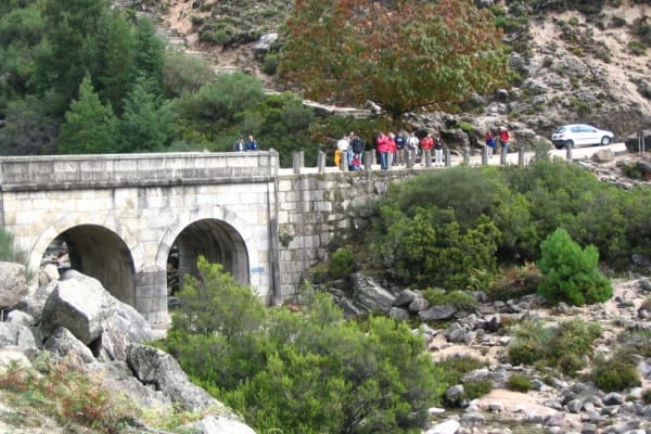 Foto 105 da atividade Galeria de Fotos