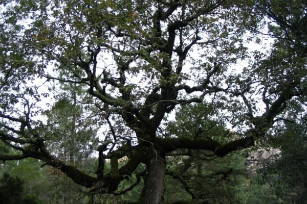 Foto 103 da atividade Galeria de Fotos