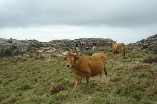 Foto 102 da atividade Galeria de Fotos