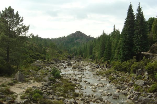 Foto 101 da atividade Galeria de Fotos