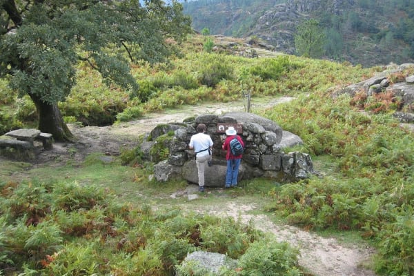 Foto 100 da atividade Galeria de Fotos