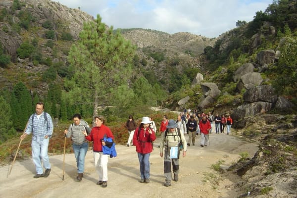 Foto 94 da atividade Galeria de Fotos