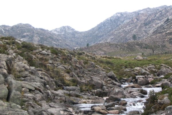 Foto 91 da atividade Galeria de Fotos