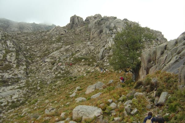 Foto 60 da atividade Galeria de Fotos