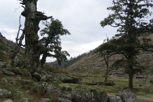 Foto 48 da atividade Galeria de Fotos