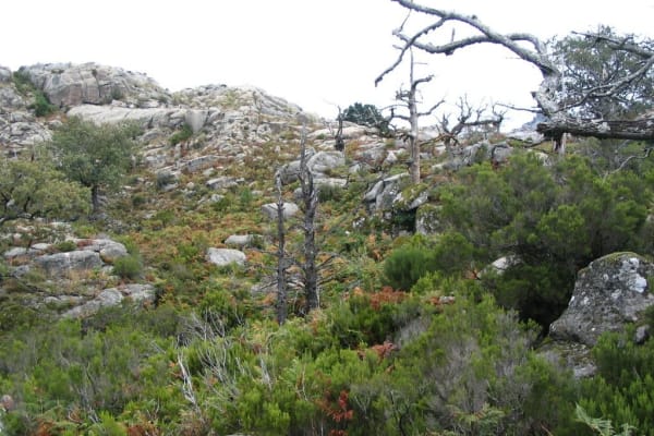 Foto 19 da atividade Galeria de Fotos