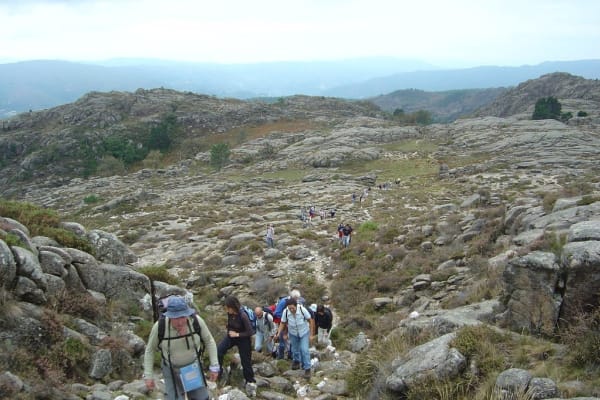 Foto 6 da atividade Galeria de Fotos