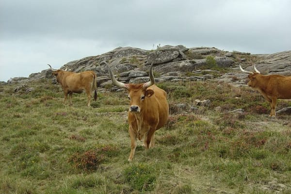 Foto 2 da atividade Galeria de Fotos