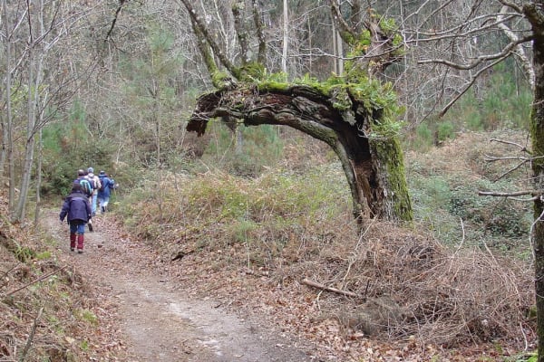 Foto 84 da atividade Galeria de Fotos