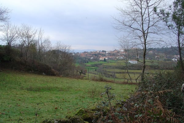 Foto 80 da atividade Galeria de Fotos