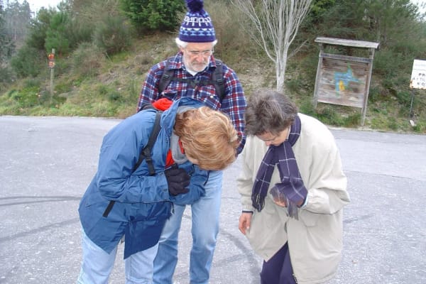 Foto 79 da atividade Galeria de Fotos