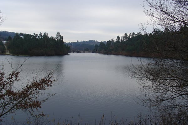 Foto 77 da atividade Galeria de Fotos