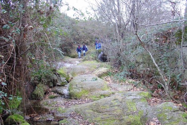 Foto 61 da atividade Galeria de Fotos