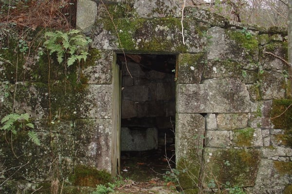 Foto 54 da atividade Galeria de Fotos