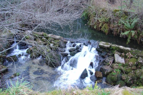 Foto 22 da atividade Galeria de Fotos