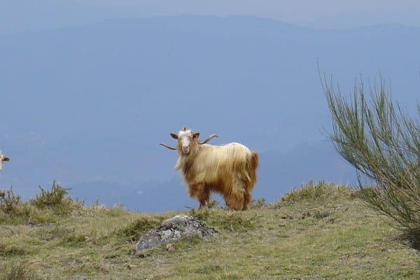 Foto 1 da atividade Galeria de Fotos