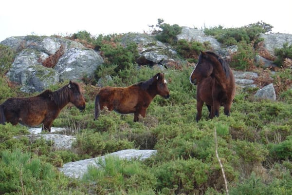 Foto 109 da atividade Galeria de Fotos