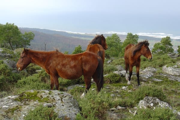 Foto 13 da atividade Galeria de Fotos