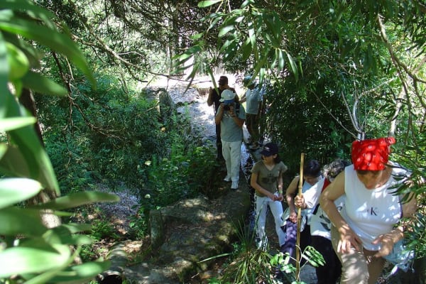 Foto 40 da atividade Galeria de Fotos