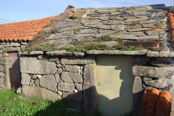 Foto 121 da atividade Galeria de Fotos